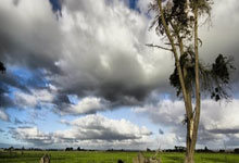 2024属龙清新脱俗气质的女孩名字(精选15个)